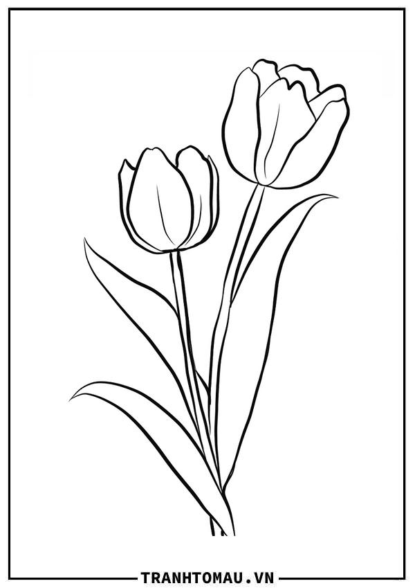 2 cành hoa tulip