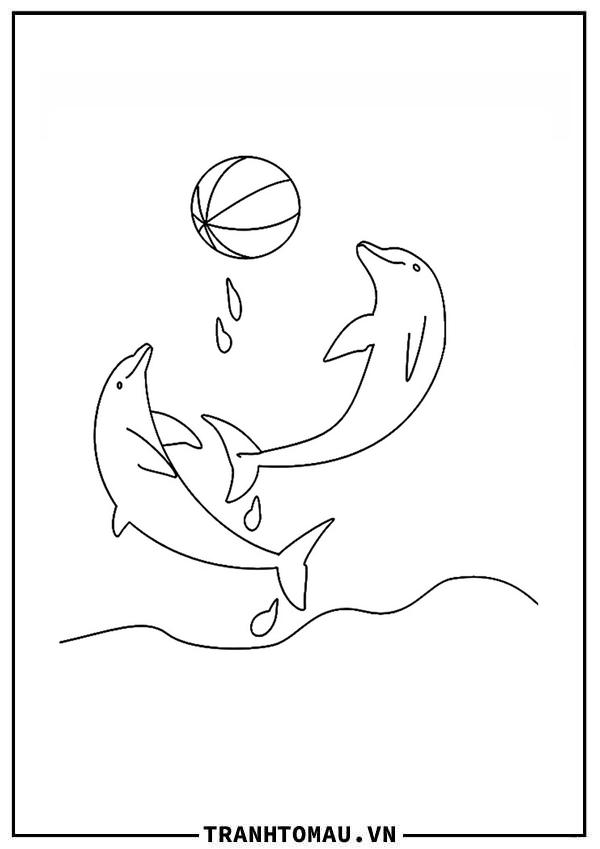 2 chú cá heo chơi đùa cùng quả bóng