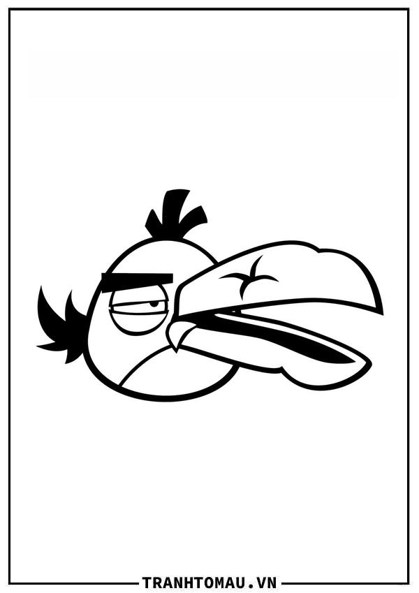 angry birds toucan hùng mạnh