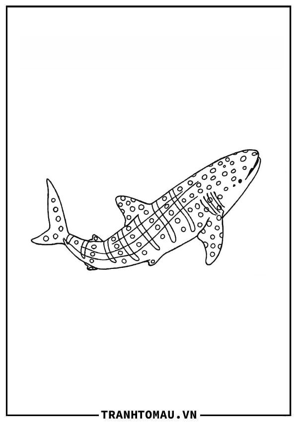 cá mập đốm