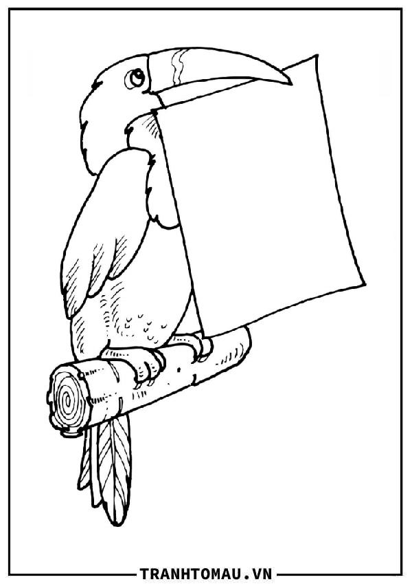 chim toucan giữ bức thư