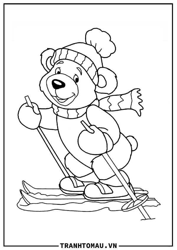 chú gấu trượt tuyết