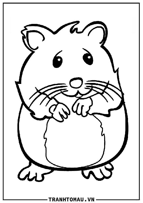 chuột hamster mỉm cười