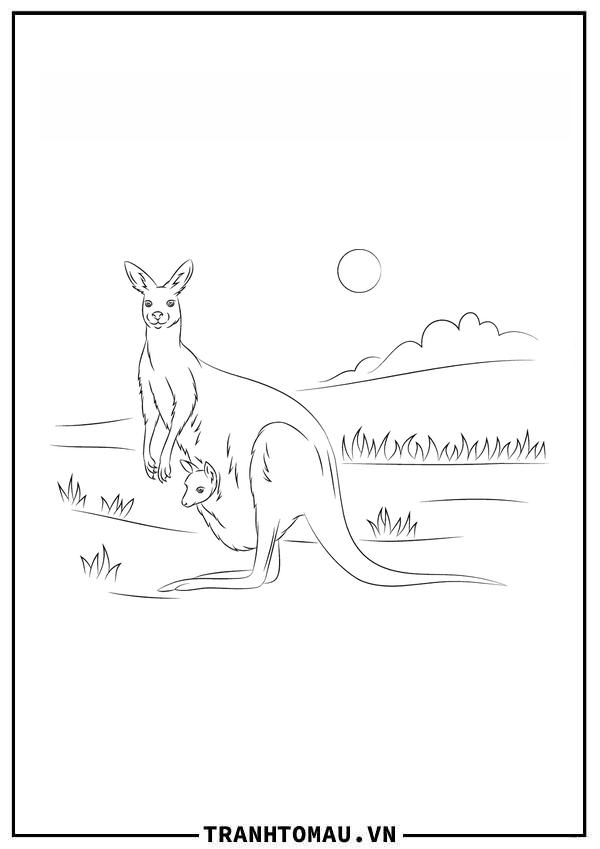 chuột túi kangaroo với đứa con