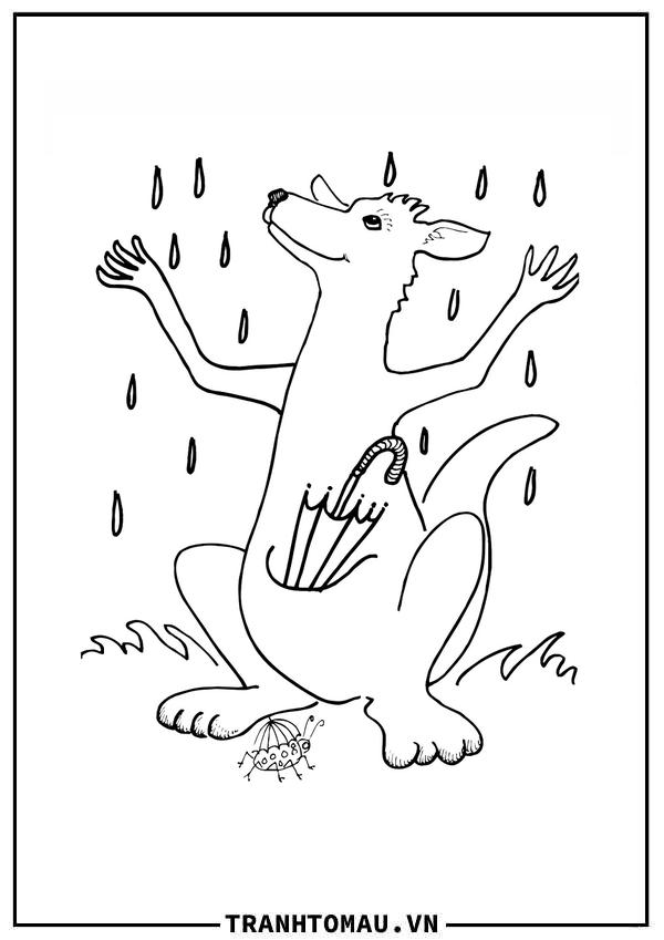 chuột túi đứng dưới mưa