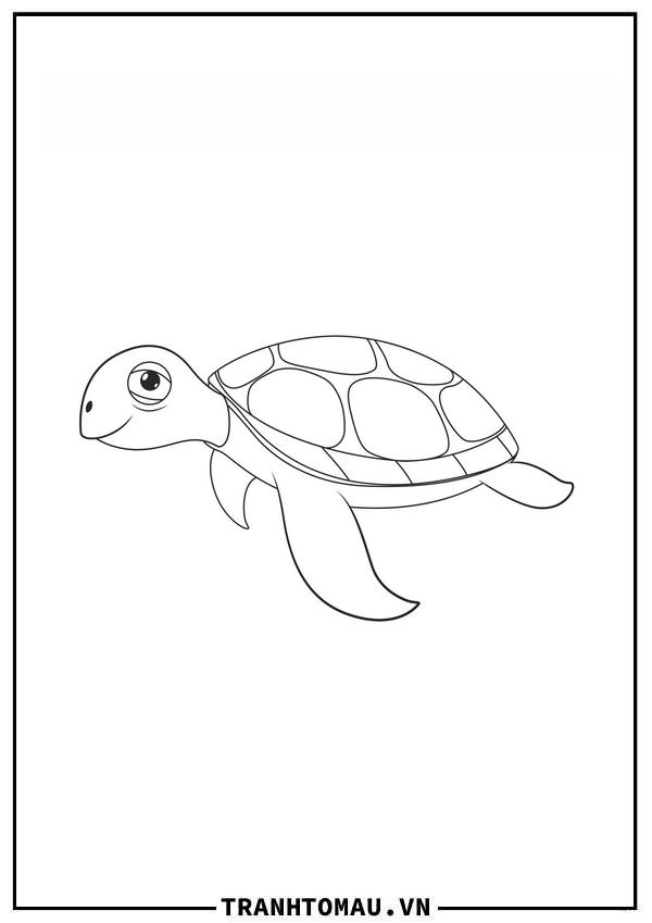 Con Rùa Biển