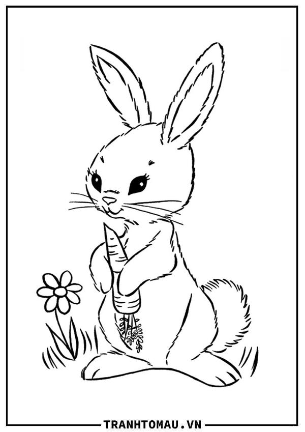con thỏ cầm củ cà rốt