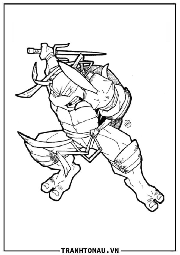 ninja rùa raphael múa kiếm