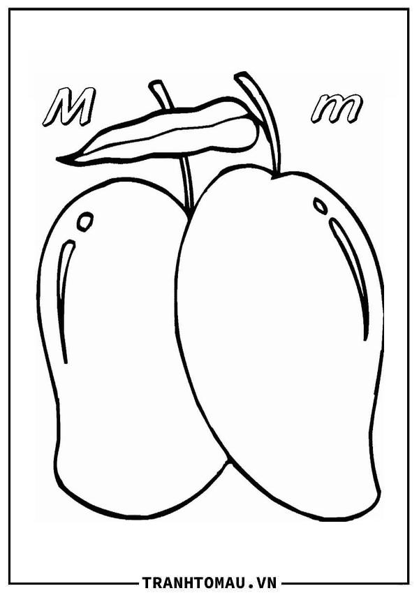 2 Quả Xoài