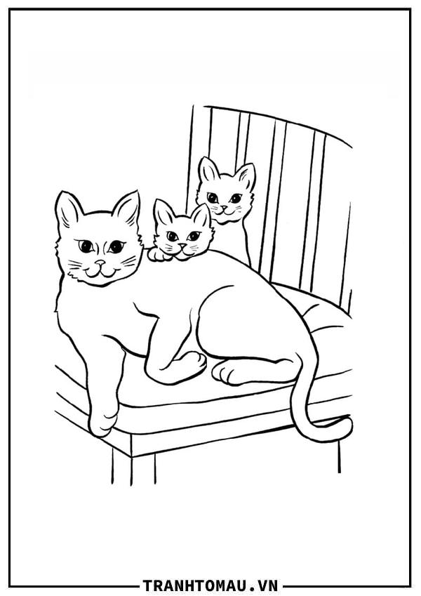 Ba Con Mèo Trên Ghế
