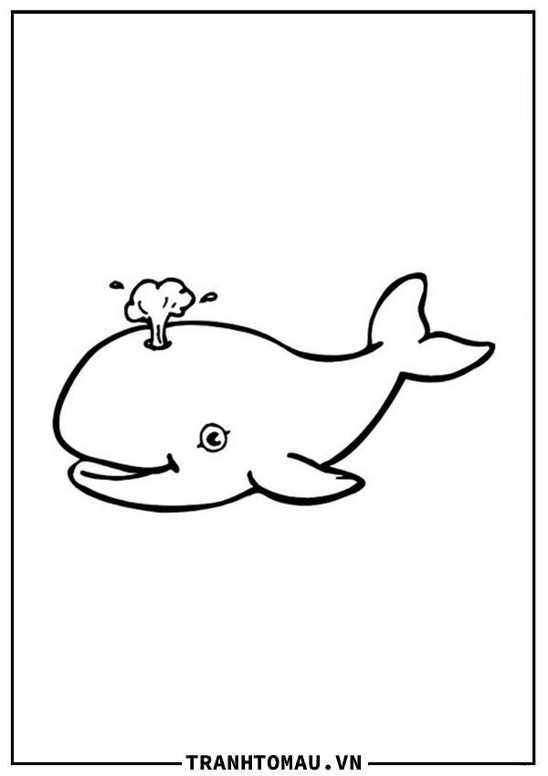 Cá voi Đang Cười