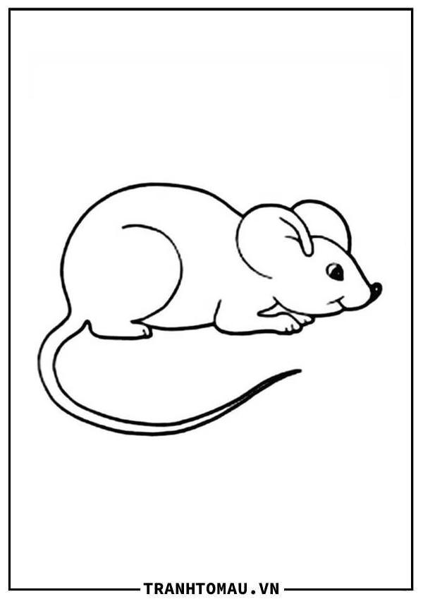 Con Chuột