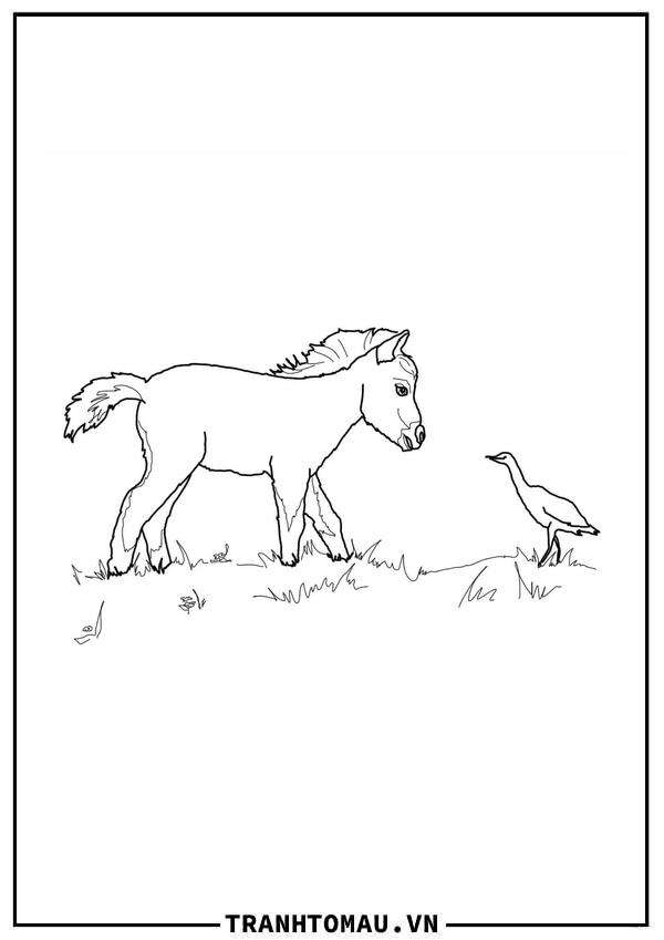 Con Ngựa và Chú Chim