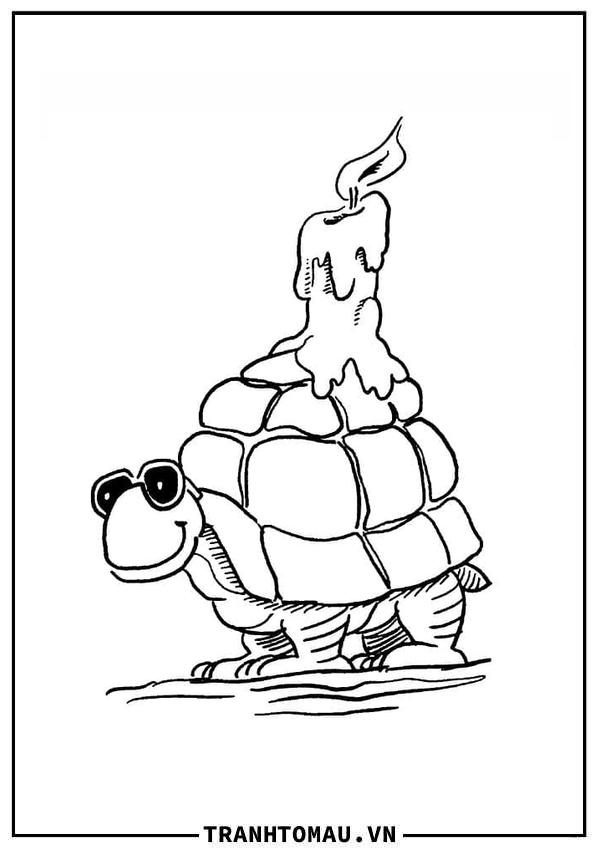 Con Rùa và Cây Nến