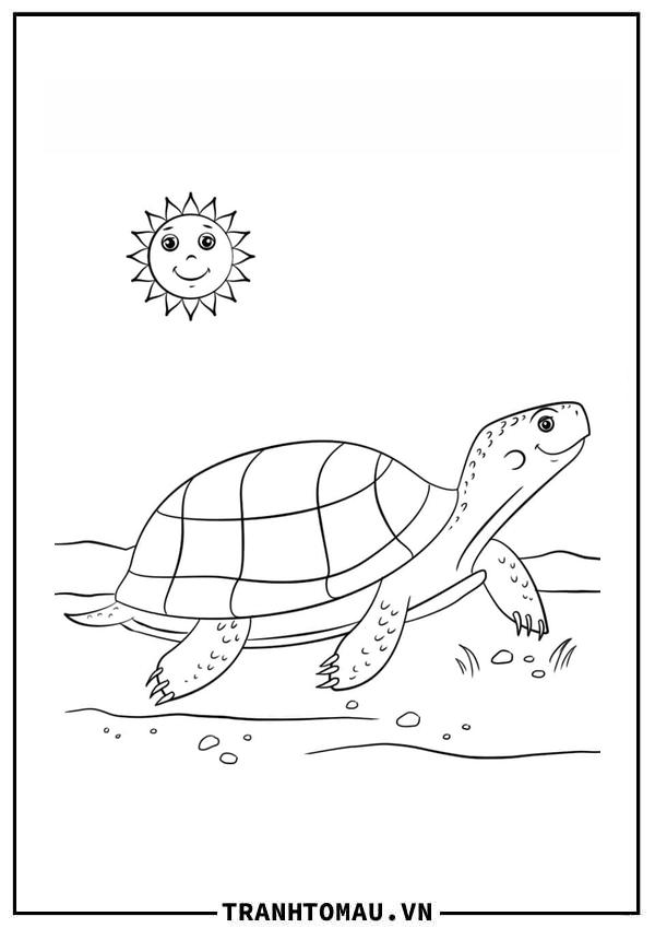 Con Rùa và Mặt Trời