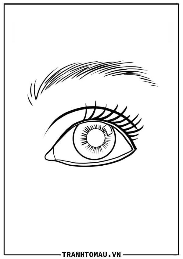 Đôi Mắt (2)