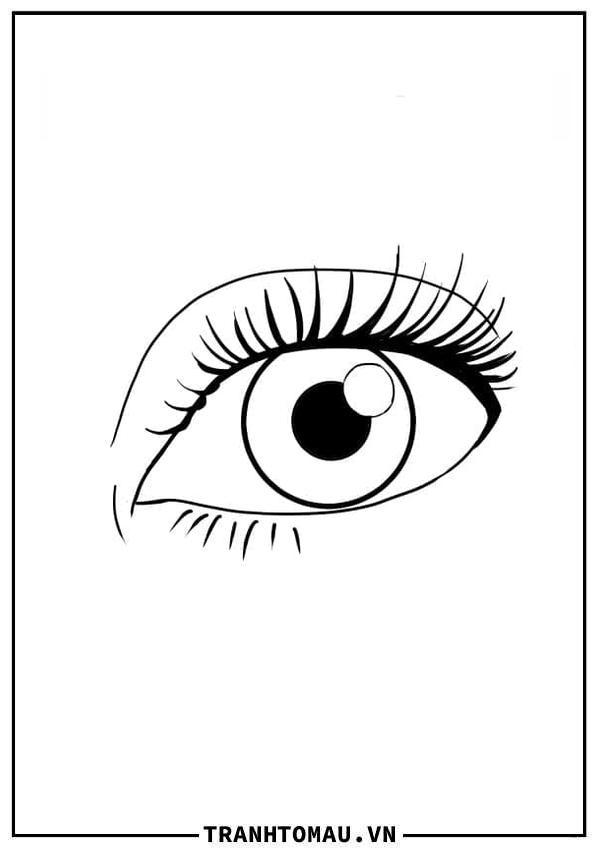 Đôi Mắt (5)