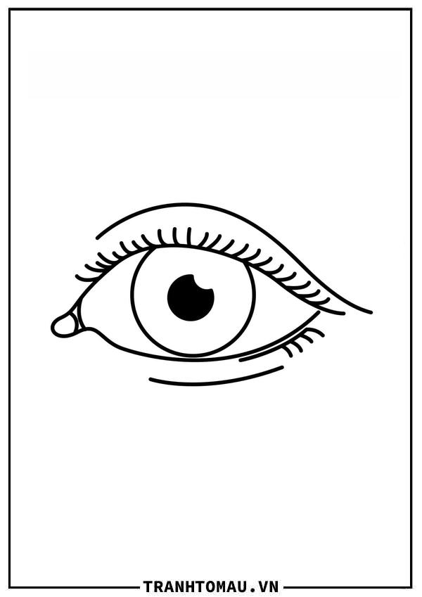Đôi Mắt (7)