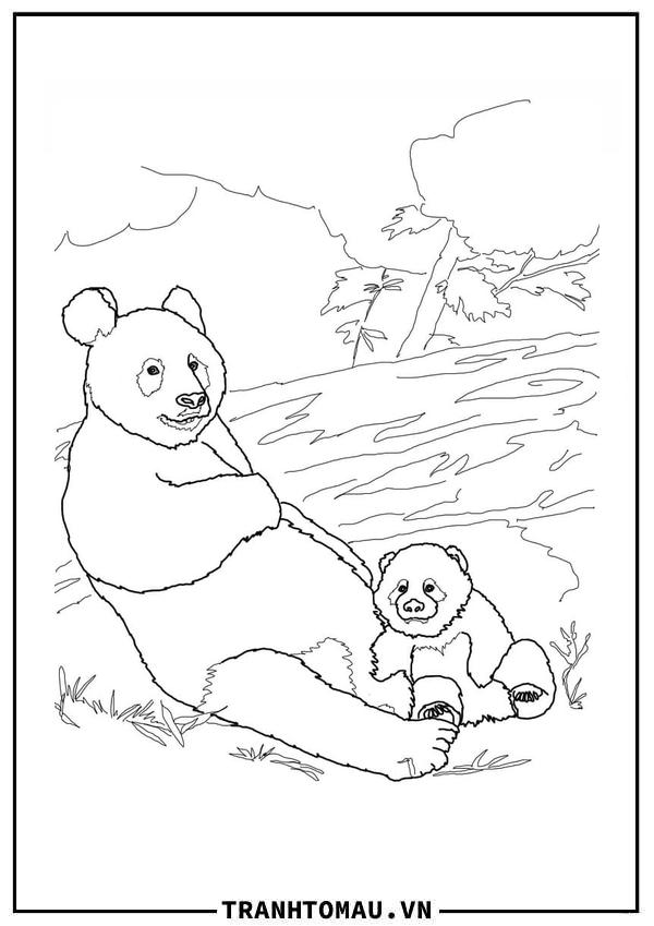Gấu Trúc Mẹ và Con