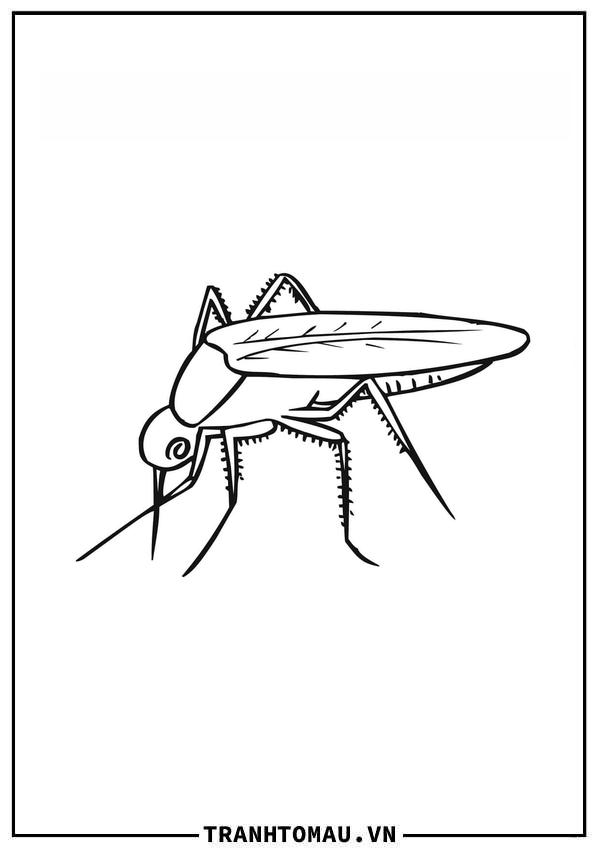 Hình Con Muỗi Đơn Giản