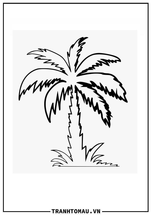 Hình Vẽ Cây Dừa