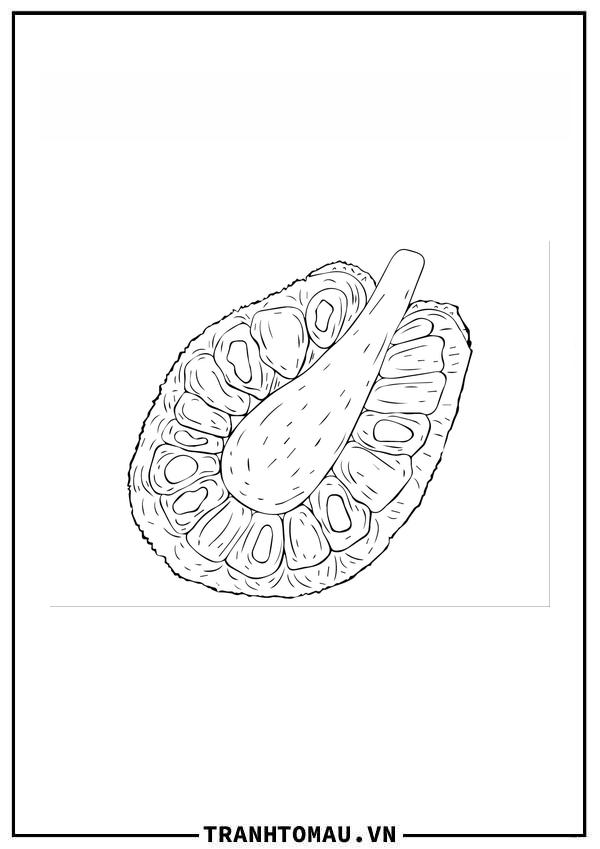 Nửa Quả Mít