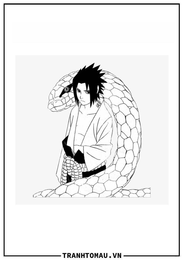 Sasuke và Con Rắn