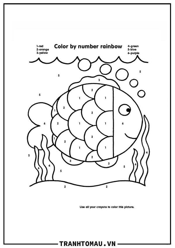 Tô Màu Theo Số Con Cá