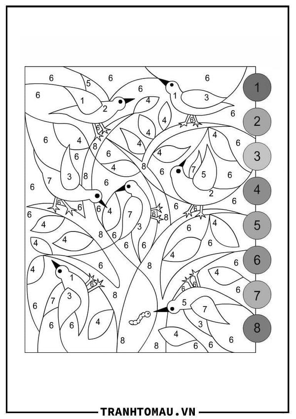 Tô Màu Theo Số Đàn Chim
