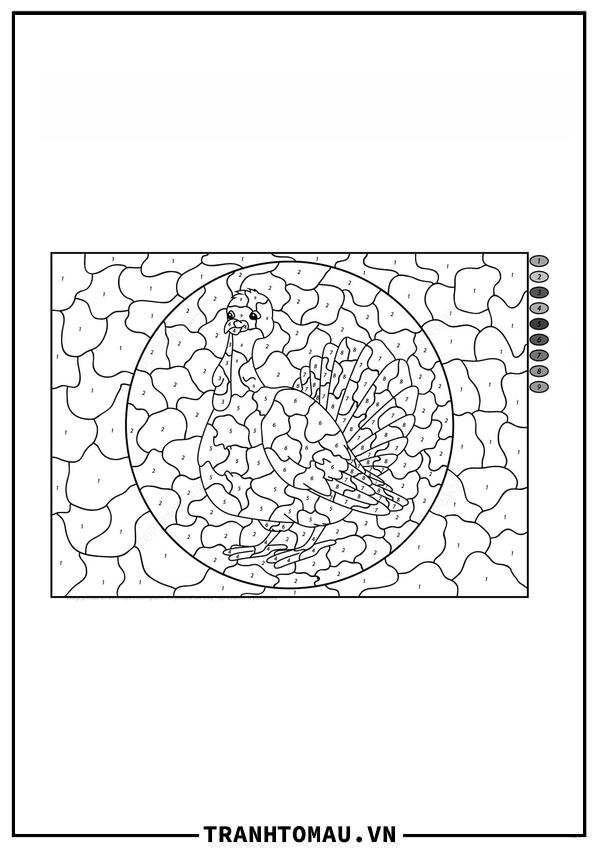 Tô Màu Theo Số Gà Tây