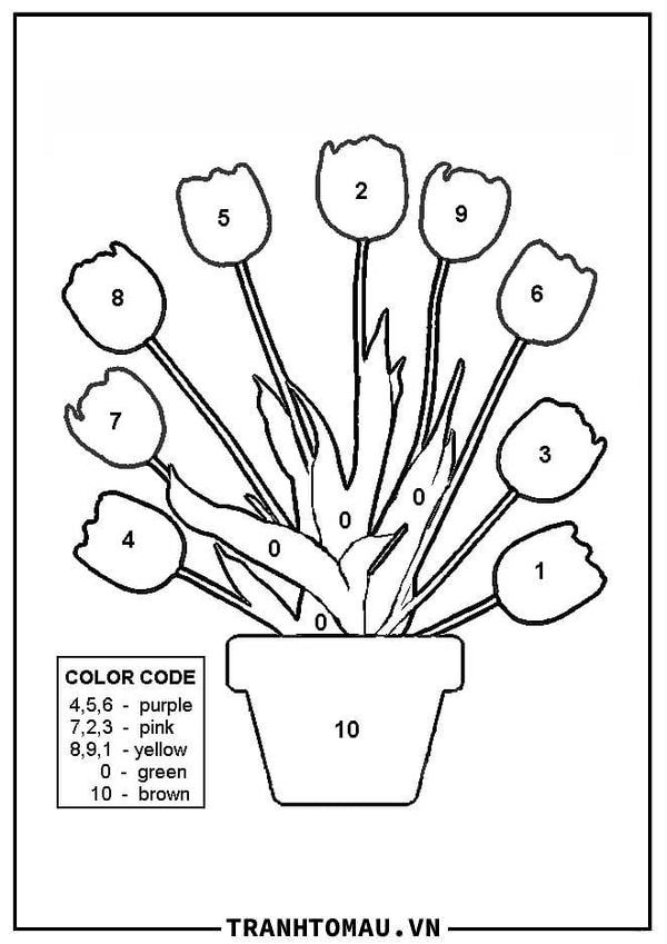 Tô Màu Theo Số Hoa Tulip