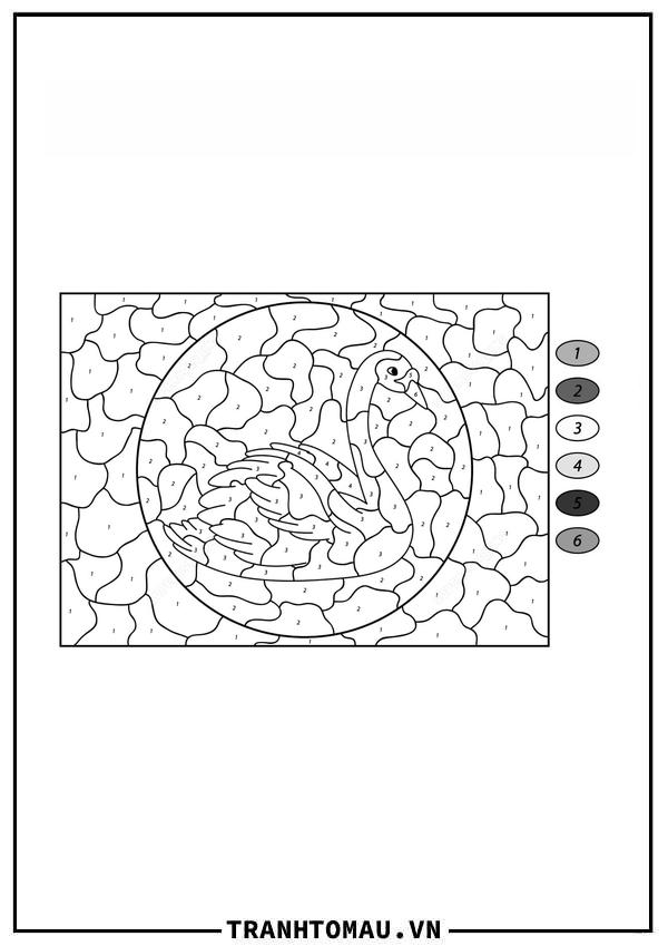 Tô Màu Theo Số Thiên Nga